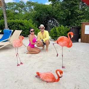 Bavaro Suites Pool Ducassi-sol Caribe , Punta Cana République dominicaine
